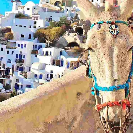 Spacious Santorini 2 Bedrooms Filos Private Jacuzzi Close To Amenities Φηρά